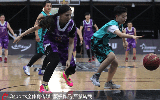 项目包括 项目包括